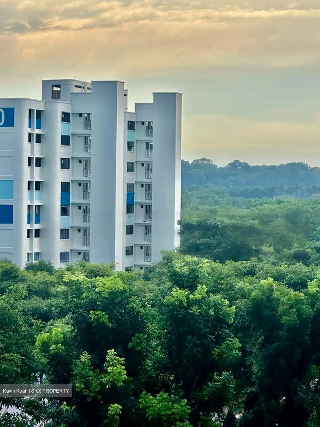 Blk 306 Hougang Avenue 5 (Hougang), HDB 5 Rooms #450030671